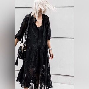 Aritzia Wilfred Dufour Ruffle Dress floral whimsigoth sheer unconventional lace